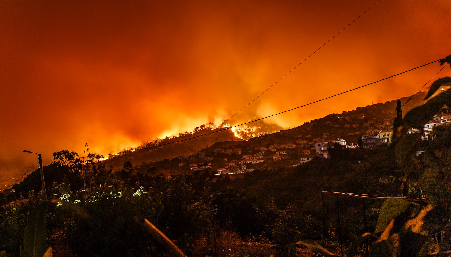 COP28: Perspective and ambitions for the Landscape Resilience